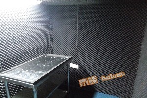 深圳泰棱 静音房静音室消声室隔
